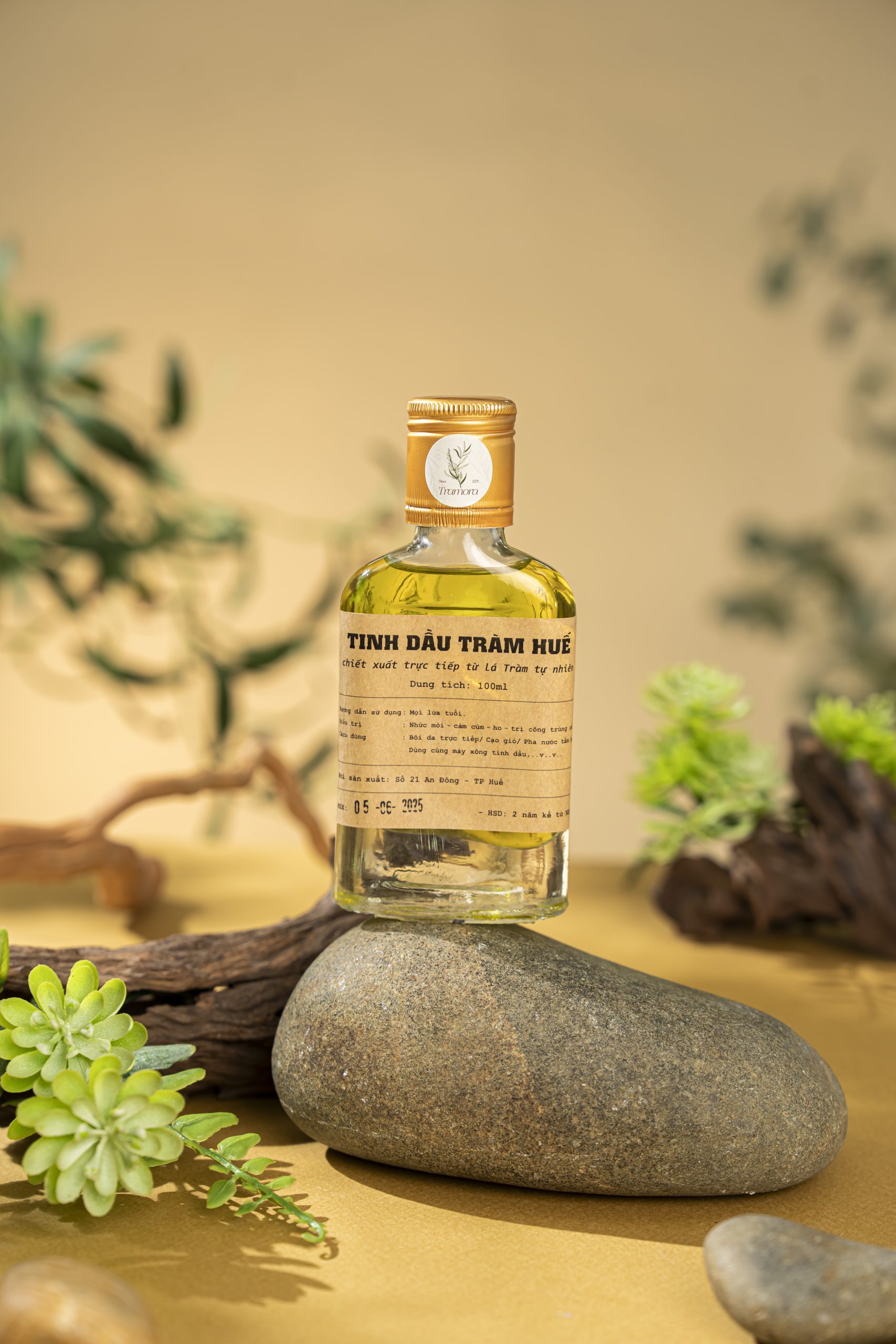 Tinh dầu tràm - Ảnh 2